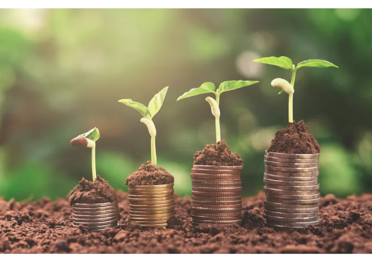 Financez votre projet de transition énergétique avec Domofinance, Les Landes, SLER